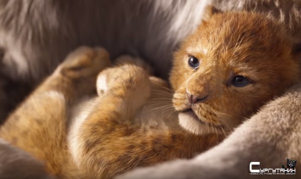 Disney опубликовала тизер фильма "Король лев"