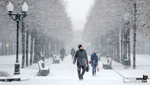 В ночь накануне зимы в Москве было минус 15