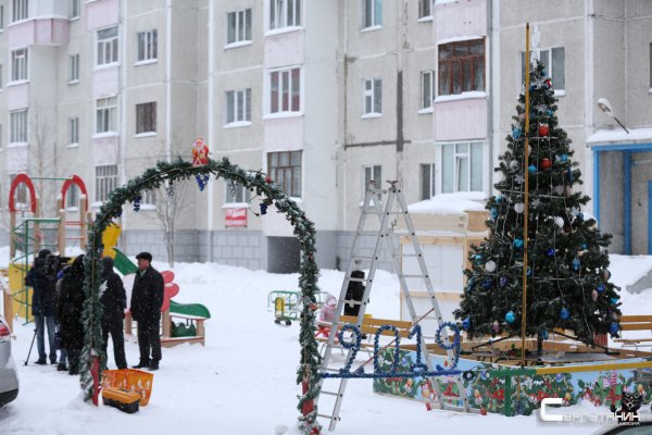 Сургутские дворы облагородят праздничными елками