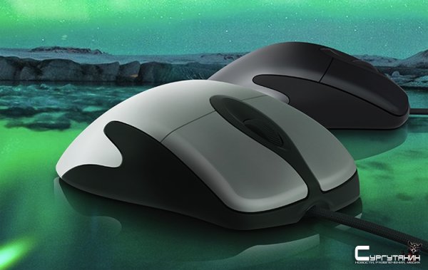 Microsoft представила новую мышь IntelliMouse
