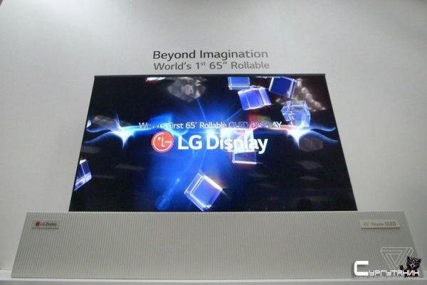 Телевизор LG с разворачиваемым экраном станет реальным продуктом в 2019 году