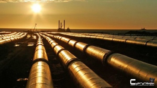 Нефтяники в Югре «забыли» сообщить государству о проложенных трубопроводах