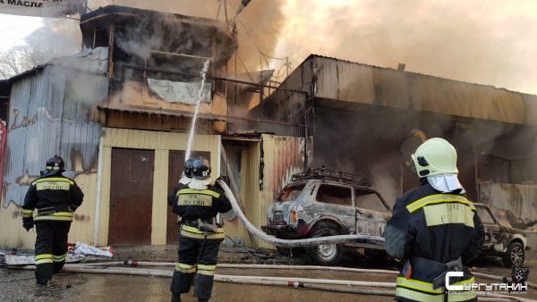 Шесть легковушек и автобус сгорели на авторынке Сочи при пожаре