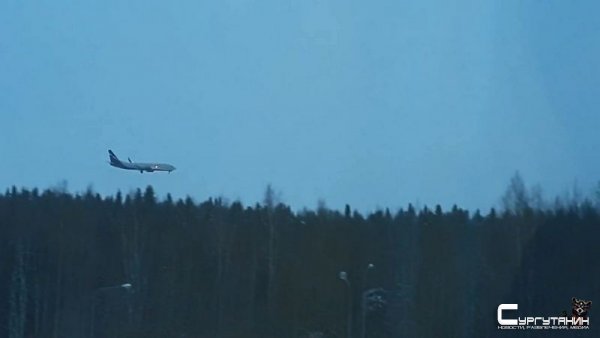 Все подробности об «угоне» самолета следующего из Сургута в Москву