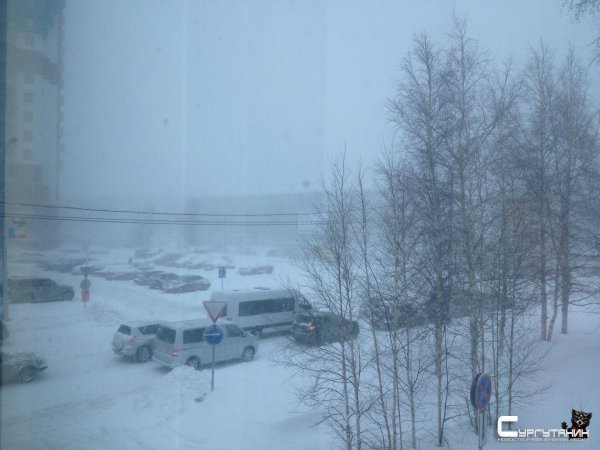 Мэр Сургута оправдался за неубранный в городе снег