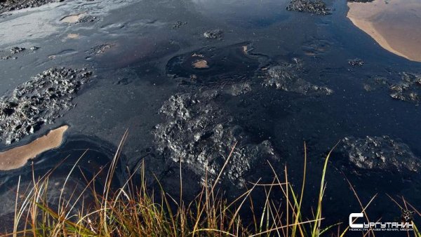 Ущерб возместили, но не прибрались. В Югре нефтяников обязали очистить землю после порыва