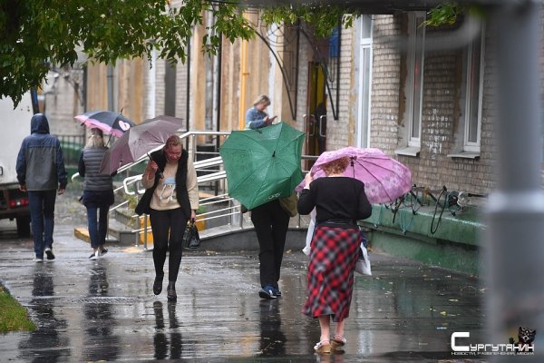 В понедельник в Москве объявлен желтый уровень погодной опасности