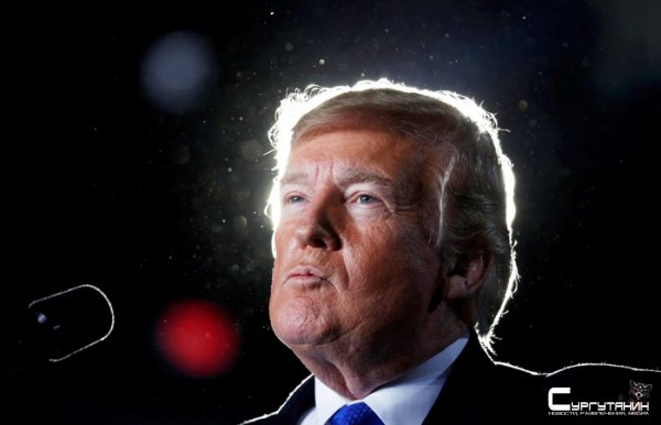 20 американских штатов подали в суд на Трампа из-за строительства стены
