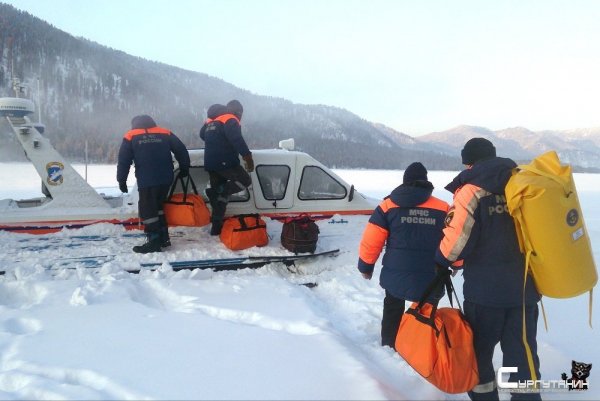 На спасение белого медведя на Камчатке вылетел вертолет МЧС