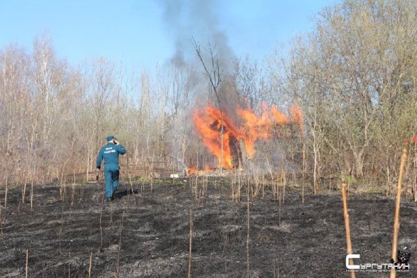 19 лесных пожаров ликвидировали на Дальнем Востоке