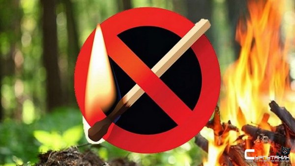 «Не зажигай!». В некоторых районах Югры действует противопожарный режим