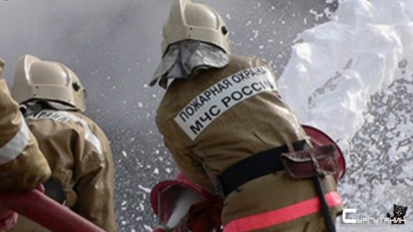 В Югре за неделю произошло 99 пожаров. 40 человек спасено, один погиб