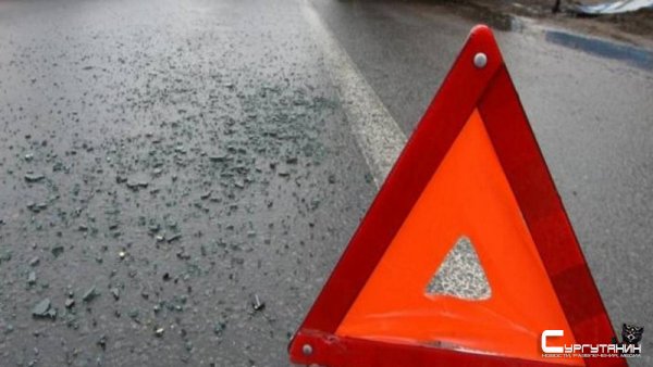 В Югре автоледи на «Лада Ларгус» сбила лося. Пассажир погиб