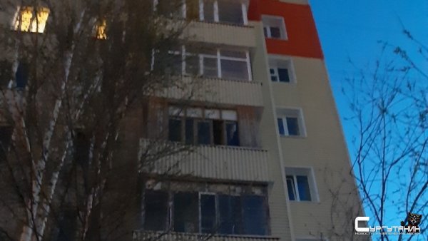 В Югре из окна многоэтажки выкинули новорожденных щенков