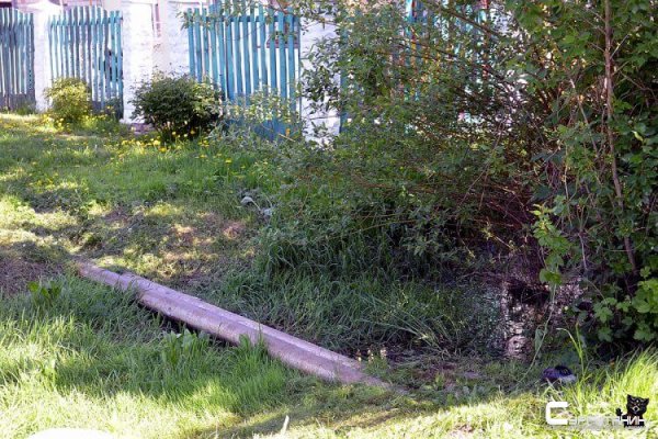 В Сургуте прохожий обнаружил труп в канаве