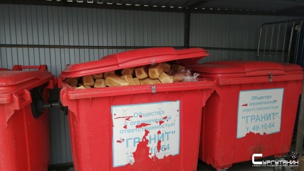В соцсетях югорчане возмутились мусорным бакам, заполненным булками хлеба