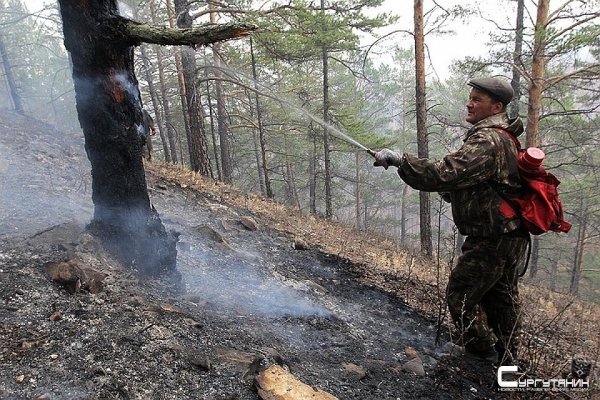 Под Иркутском загорелись почти 1,5 тысячи гектаров тайги