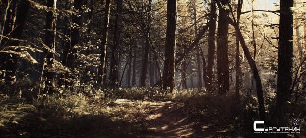 Разработчики из Bloober Team поделились деталями хоррора Blair Witch