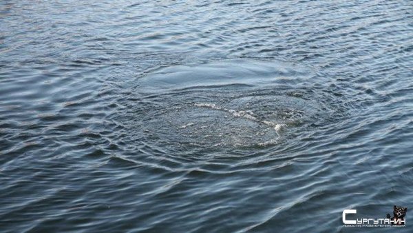 Опасная вода. В Югре спасатели ищут тело утонувшей на озере женщины