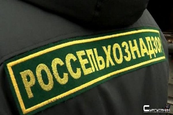 Россельхознадзор обвинил Минэкономразвития в массовой гибели пчел