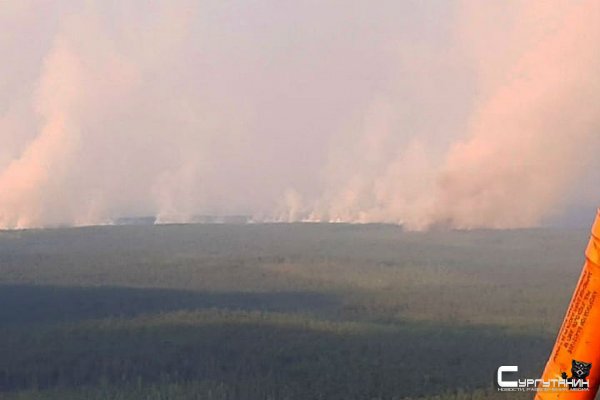 Площадь пожаров в Красноярском крае уменьшилась на 14 тысяч гектаров