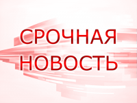Нижегородские спасатели нашли живой пропавшую в лесу 5-летнюю девочку