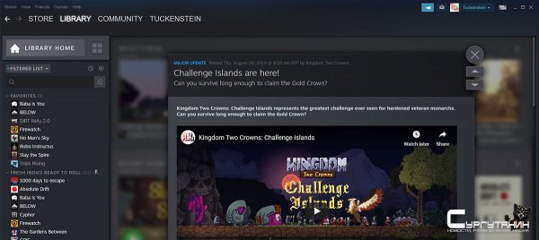 Стартовало публичное тестирование новой библиотеки Steam