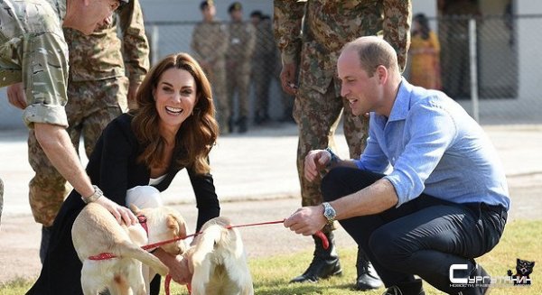 Стали известны детали брачного договора Кейт Миддлтон и принца Уильяма 