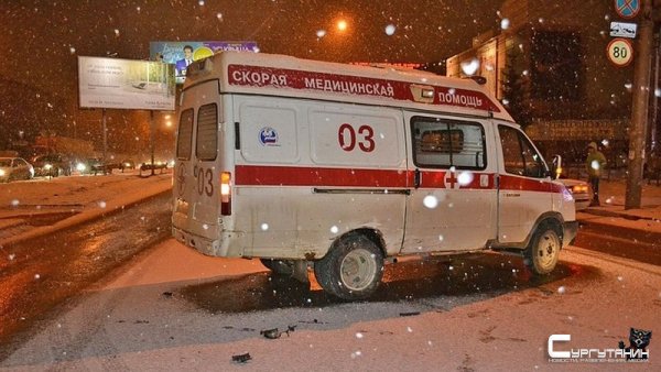 Я и лошадь, я и бык, я и баба, и мужик! В Сургуте молодая девушка отправила в реанимацию двух собутыльников