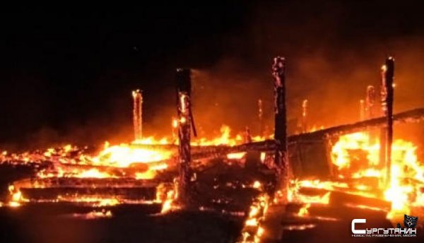 В Югре во время пожара в сарае погибли козы и кролики