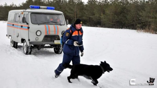 Домой не вернулся. Пропавшего в Югре мужчину ищут уже более двух недель
