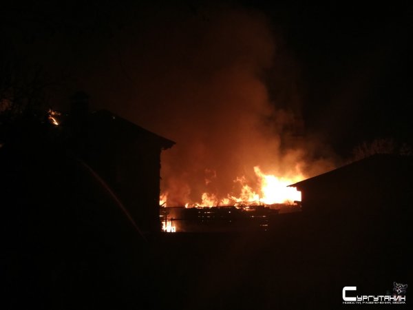 В дачном кооперативе Сургута заживо сгорела девочка-подросток