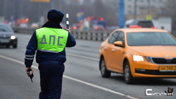 Правительство сообщило о 50% скидке на оплату штрафов по новому КоАП
