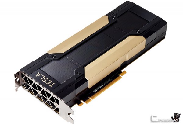 Почти 8000 ядер CUDA: обнаружен ещё один графический процессор NVIDIA нового поколения