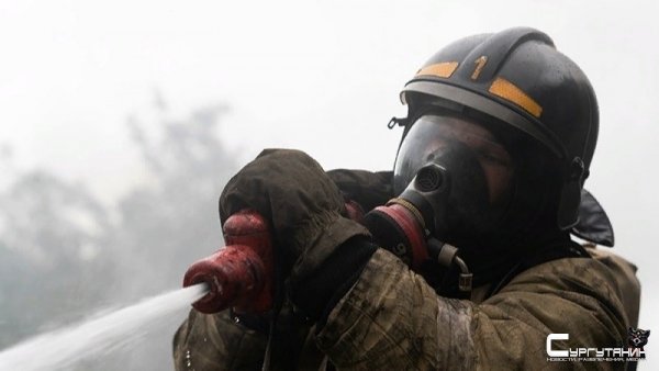 Почти полсотни человек было эвакуировано во время пожаров в Югре