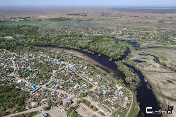 В Волгоградской области разрешили работать магазинам и промышленным предприятиям