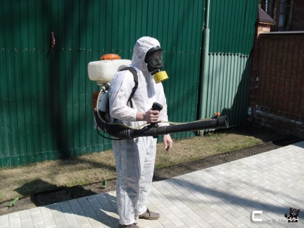 Вирус вирусом, а клещи по расписанию. Опасные насекомые начали нападать на жителей Сургута
