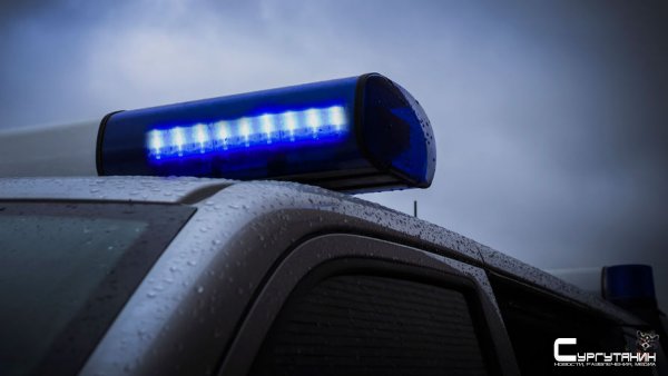 В Клину мужчина украл с территории сквера 17 "звезд медалистов"