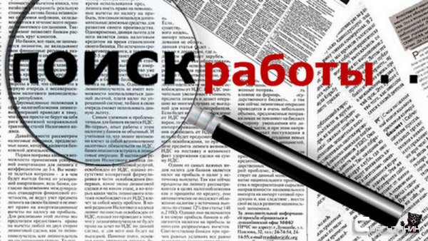 В Югре стало больше безработных бухгалтеров, водителей и курьеров