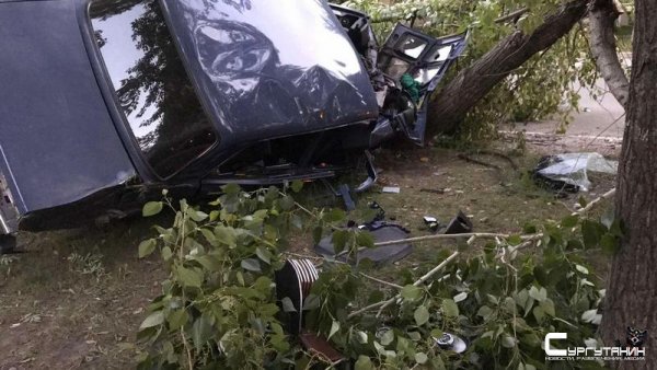 Трюк как в кино, только с пострадавшими. В Сургуте автомобиль влетел в дерево и перевернулся