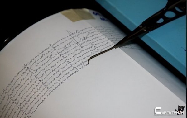 В Румынии зафиксировали землетрясение в 4,4 балла