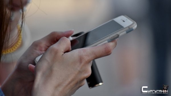 В Югре разрабатывают мобильное приложение для мигрантов