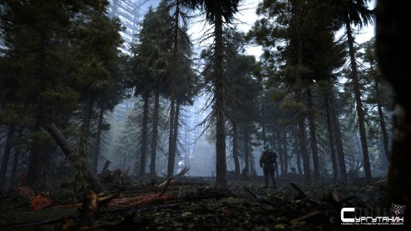 S.T.A.L.K.E.R. 2 появился на сайте Xbox. Заявлены до 120 FPS и рейтрейсинг