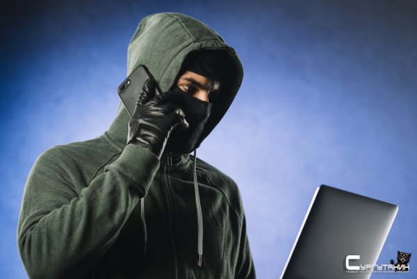 Сргутяне являются самой лакомой добычей для мошенников