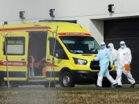 В России выявлено 5 204 новых зараженных коронавирусом