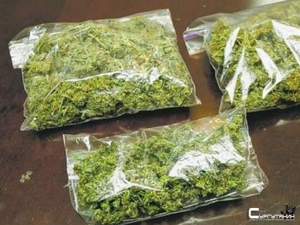 Семейный бизнес. Полиция Сургута арестовала супружескую пару, которая занималась продажей наркотиков