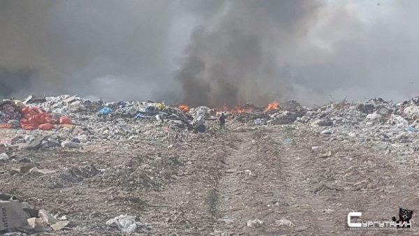 В Сургуте вновь пылает свалка