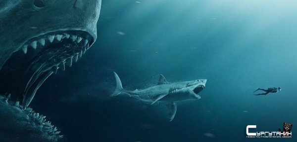 Warner Bros. снимет продолжение "Мег: Монстр глубины"