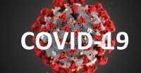 За сутки в Югре выявили 205 новых случаев COVID, скончались 7 инфицированных