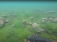 На Байкале зафиксирован всплеск развития водорослей-захватчиков